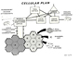 Photo of cellular diagram.