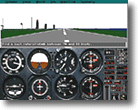 Microsoft Flight Simulator
