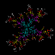 bh.gif (2586 bytes)